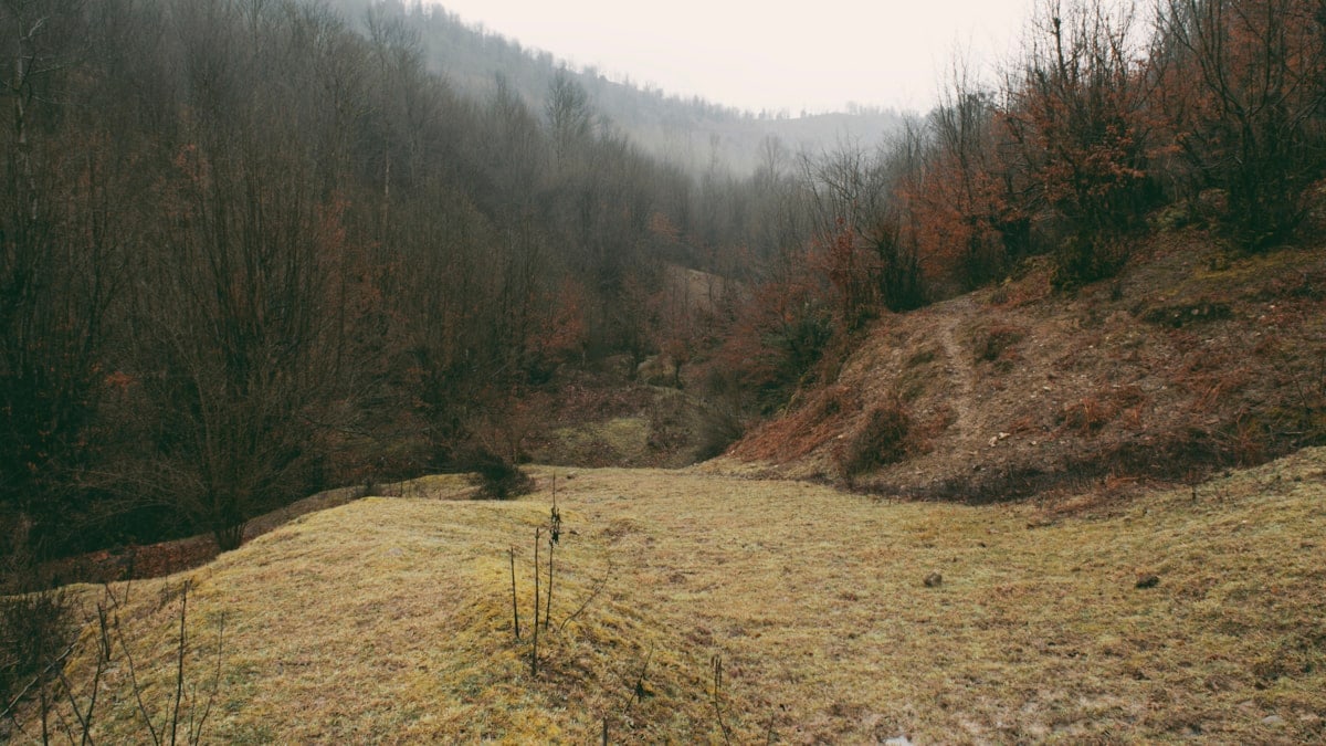 Zdravlje kroz pravilnu ishranu